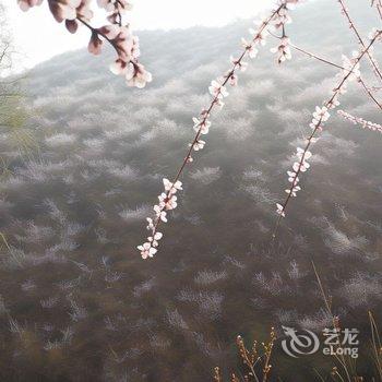 北京节气山房民宿酒店提供图片