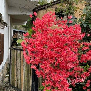 桐庐未见山宿酒店提供图片