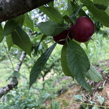 广州岚坞客栈酒店提供图片