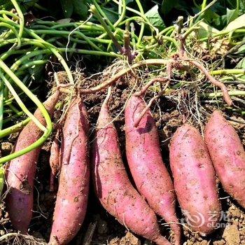 广州岚坞客栈酒店提供图片