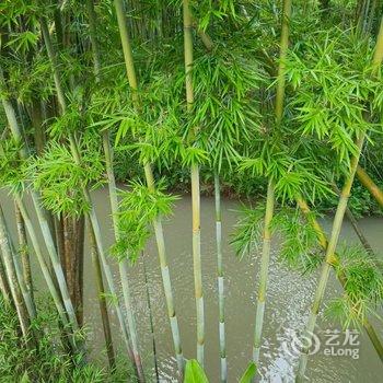 广州岚坞客栈酒店提供图片