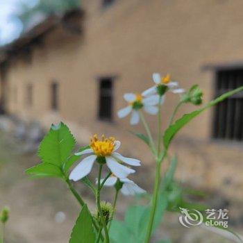 广州岚坞客栈酒店提供图片