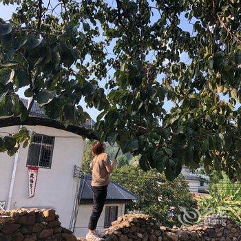 广州岚坞客栈酒店提供图片