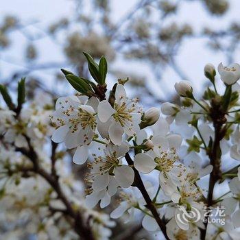广州岚坞客栈酒店提供图片