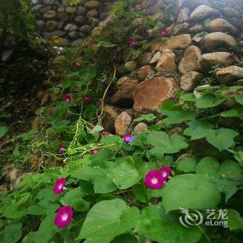 北京WE爱主题民宿酒店提供图片