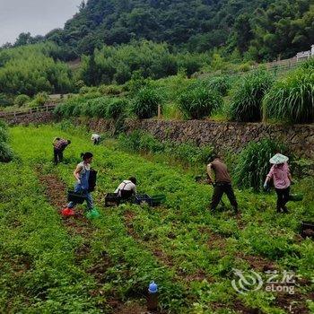 天目山棋盘山居有机亲子庄园酒店提供图片