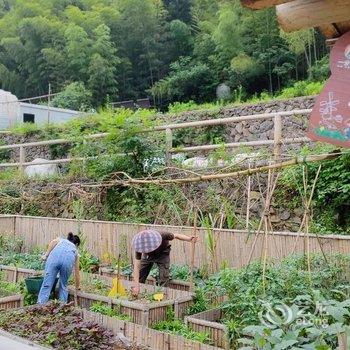 天目山棋盘山居有机亲子庄园酒店提供图片