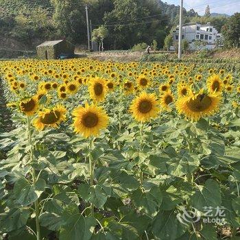 黄山欢乐假日宾馆酒店提供图片