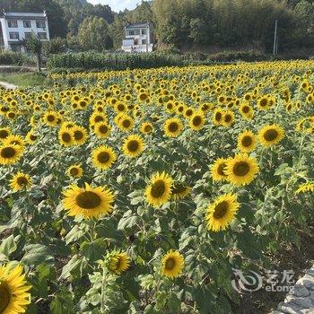 黄山欢乐假日宾馆酒店提供图片