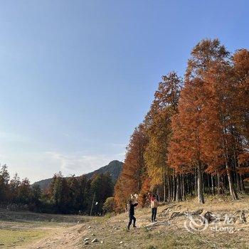 黄山欢乐假日宾馆酒店提供图片