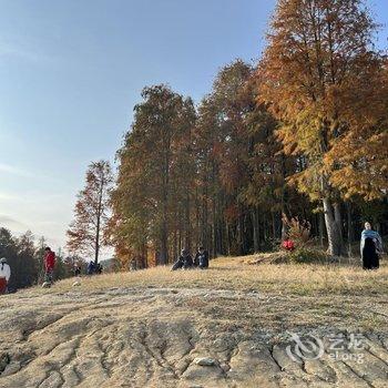 黄山欢乐假日宾馆酒店提供图片