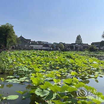 黄山欢乐假日宾馆酒店提供图片