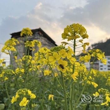 黄山欢乐假日宾馆酒店提供图片