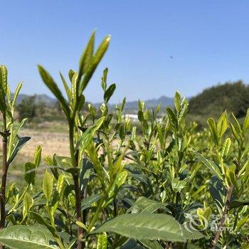 黄山欢乐假日宾馆酒店提供图片