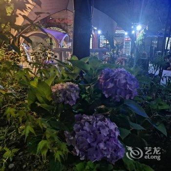 青城后山石见民宿(泰安古镇店)酒店提供图片