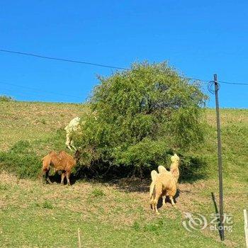 ������ͳ���͹���ׯ԰�Ƶ��ṩͼƬ