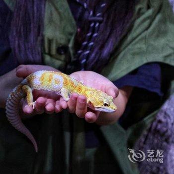 北京世园璞燊酒店酒店提供图片