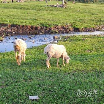坝上乡村驿站酒店提供图片