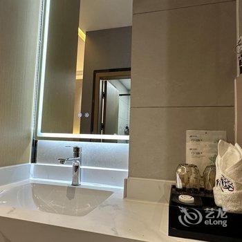 新龙印象新龙主题酒店酒店提供图片
