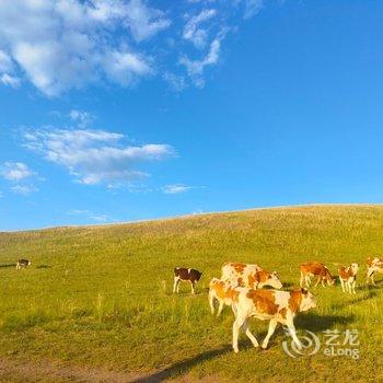 呼伦贝尔陈巴尔虎旗天边草原游牧部落酒店提供图片