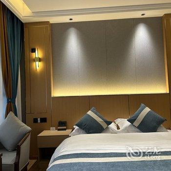 新龙印象新龙主题酒店酒店提供图片