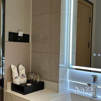 新龙印象新龙主题酒店酒店提供图片