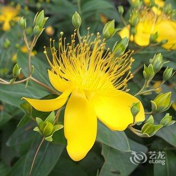 重庆渝福里民宿酒店提供图片