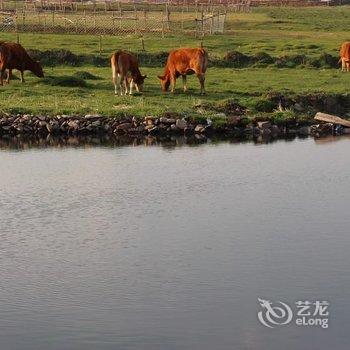 坝上草原泽葳庄园酒店提供图片