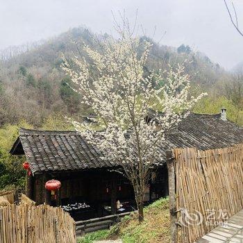 宁陕秦岭悠然山度假酒店酒店提供图片