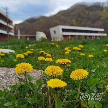 宁陕秦岭悠然山度假酒店酒店提供图片