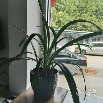 太华宾馆酒店提供图片