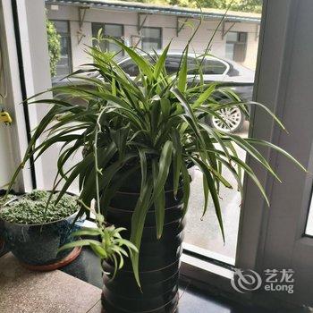 太华宾馆酒店提供图片