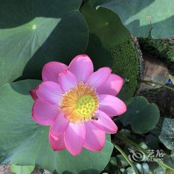 广州岚坞客栈酒店提供图片