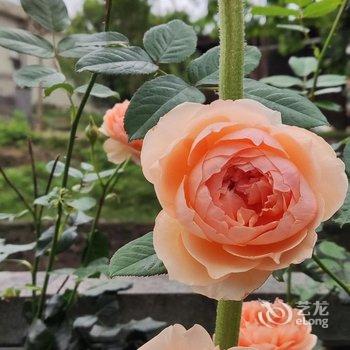 广州岚坞客栈酒店提供图片