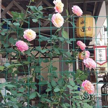 广州岚坞客栈酒店提供图片