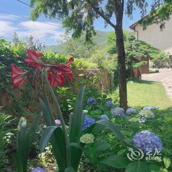 莫干山晓风暮景乡野温泉美宿酒店提供图片