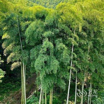 莫干山晓风暮景乡野温泉美宿酒店提供图片