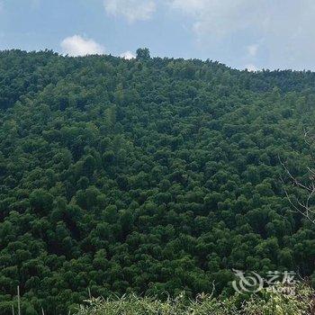 莫干山晓风暮景乡野温泉美宿酒店提供图片