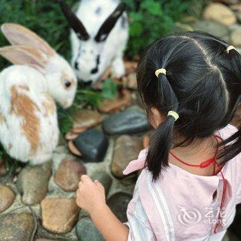 广州玉溪古荔园精品民宿酒店提供图片