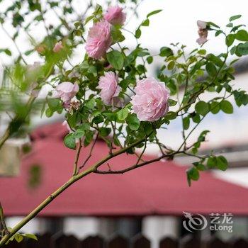 花筑·上海听海民宿(金山城市沙滩店)酒店提供图片