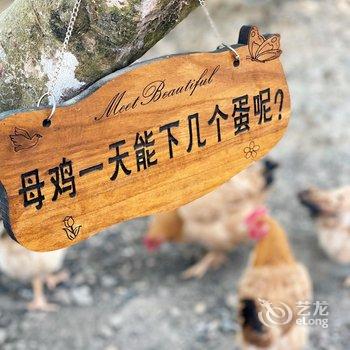 广州玉溪古荔园精品民宿酒店提供图片
