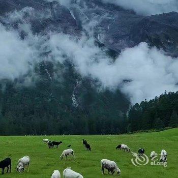 丽江聆荷客栈酒店提供图片