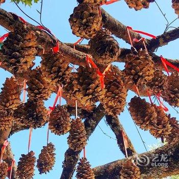 丽江聆荷客栈酒店提供图片