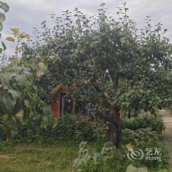 不老山居民宿(北京不老屯店)酒店提供图片