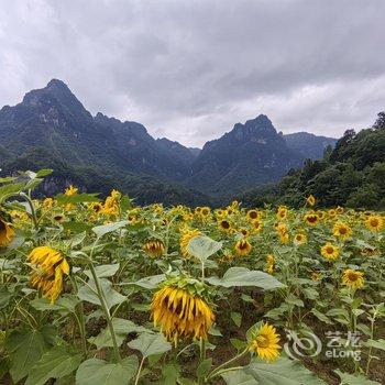 光雾山普陀山庄酒店提供图片