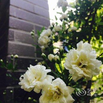 凯罗琳娜公寓(普乐路分店)酒店提供图片