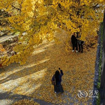 腾冲丽婷农家乐酒店提供图片