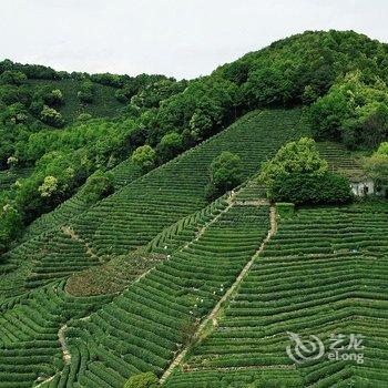 杭州沉醉山居客栈酒店提供图片