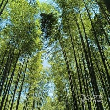 竹里山居·私房菜·民宿(苏州树山店)酒店提供图片