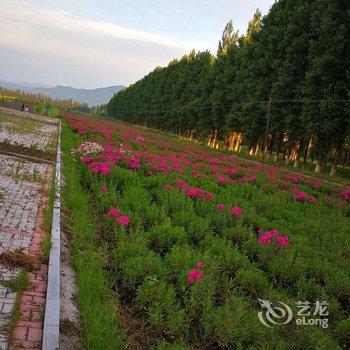 胡永兵特色民宿酒店提供图片